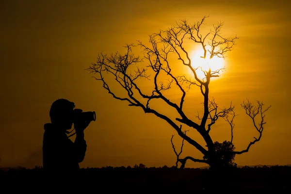 Силуэт фотографа, фотографирующего — стоковое фото