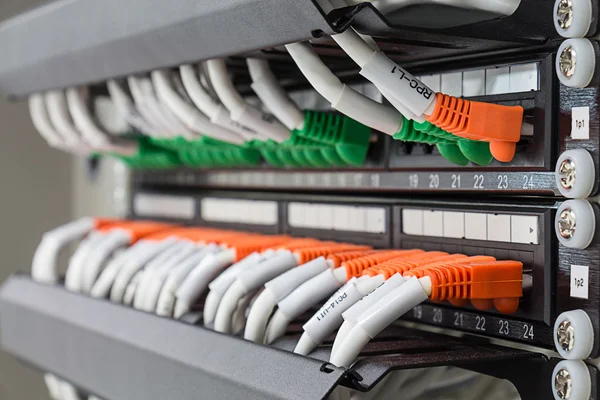 Local area network switch (LAN) ethernet cables on panel board — Stock Photo, Image