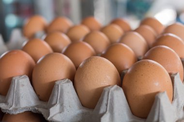 Paket tavuk çiftliğinde yumurta.