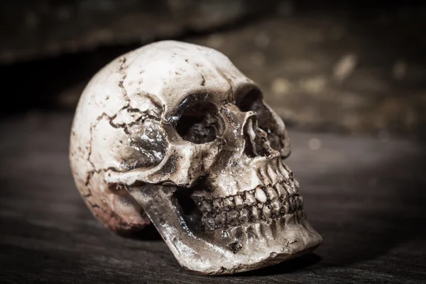 Ludzka czaszka na tle drewna. — Zdjęcie stockowe