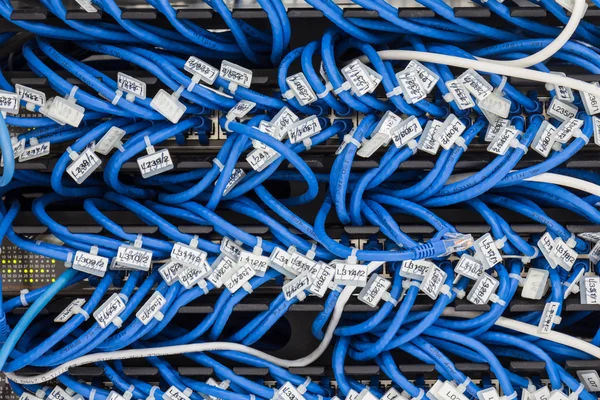 Interruttore di rete locale e un paio di cavi Ethernet — Foto Stock