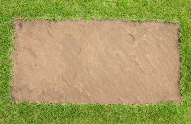 Çimen ve taş arkaplan