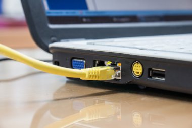 Internet ağ kablolarını bilgisayara bağlı