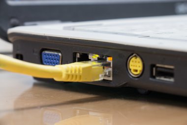 Internet ağ kablolarını bilgisayara bağlı