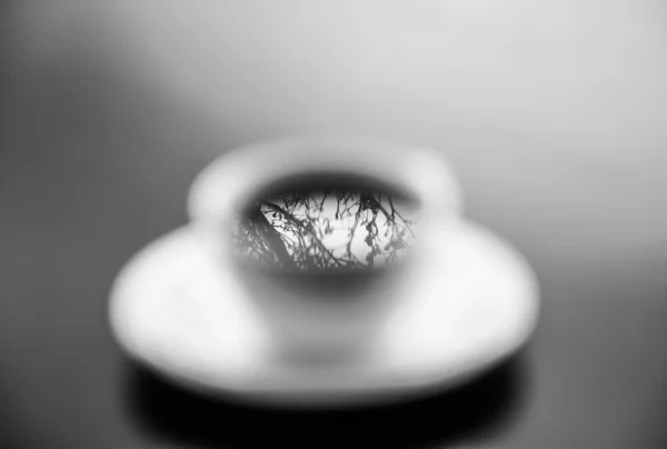 Reflective of a tree in a coffee cup — Stock Photo, Image