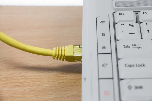 Los cables de red de Internet están conectados a la computadora — Foto de Stock