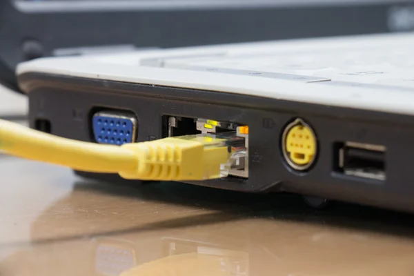 Internet Network cables are connected to computer — Stock Photo, Image