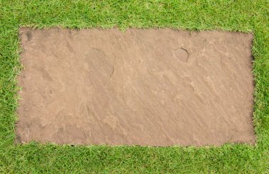 Çimen ve taş arkaplan