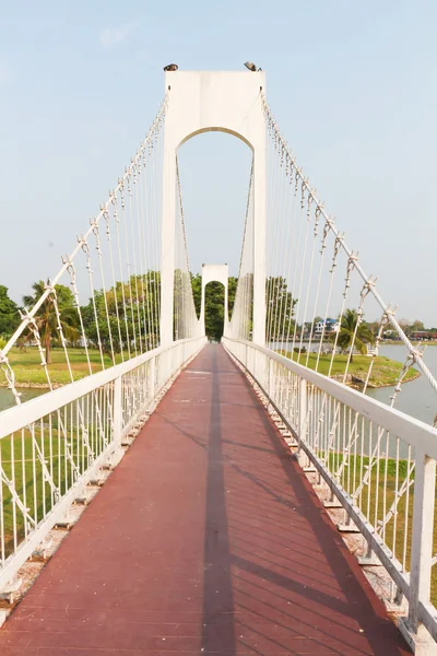 Il ponte di corda metallica nel parco — Foto Stock