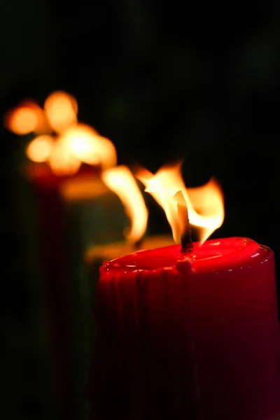 Růžové svíčky — Stock fotografie