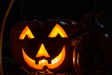 Cadılar Bayramı Balkabağı arka plan