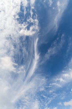 Rop çekilmesinin insan kullanım el