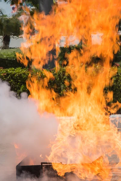 Fiamma in container durante l'addestramento alla sicurezza antincendio — Foto Stock