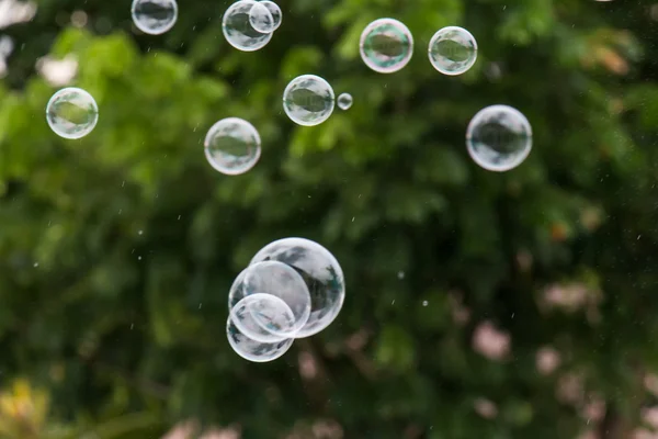 Bela bolha de sabão fundos abstratos — Fotografia de Stock
