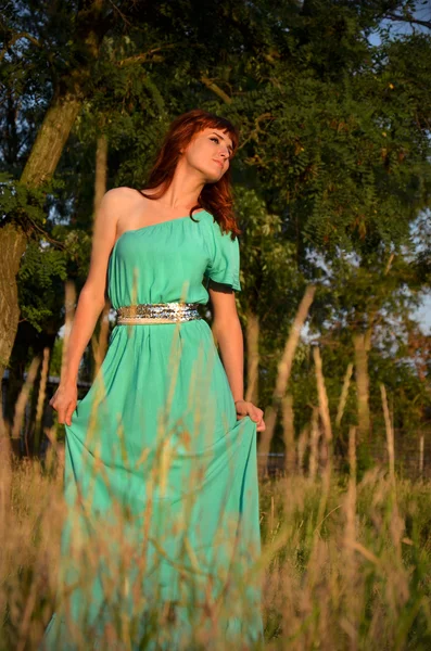 Chica en un vestido azul en las espiguillas — Foto de Stock