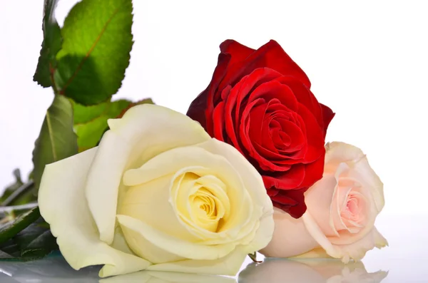 Bukiet róż, które kwitną — Zdjęcie stockowe