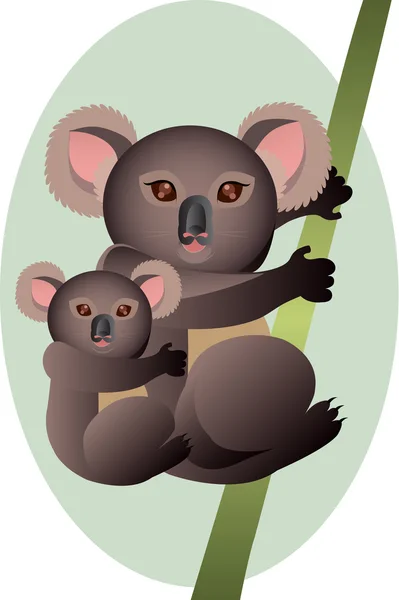 Madre e bambino koala — Vettoriale Stock