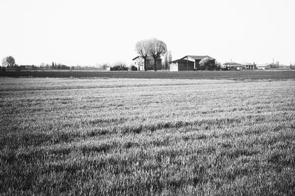 Çiftlik — Stok fotoğraf