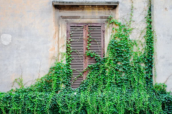 Vecchia facciata in Italia — Foto Stock