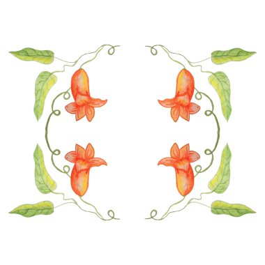 Suluboya Çerçevesi.