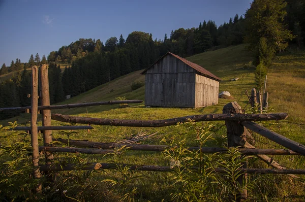 Karpaty — Zdjęcie stockowe