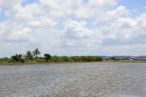 Primer plano estanque de peces — Foto de Stock