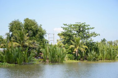 Chachoengsao Tayland 'daki Bangprakong Nehri