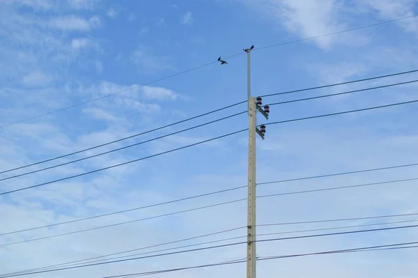 Tayland Elektrik Direğini Kapatın — Stok fotoğraf