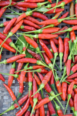 kırmızı biber ve bambu sepeti.