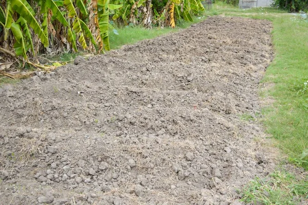 Préparation Sol Pour Semer Des Légumes Dans Agriculture Champ — Photo