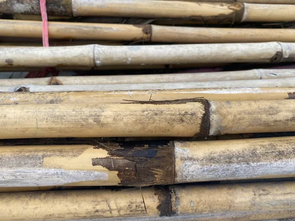 Suchy Bambusowy Słup Ziemi — Zdjęcie stockowe