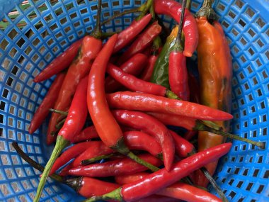 Taze kırmızı biberi sepete koy.