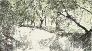 Orman arkaplanının resim rengi