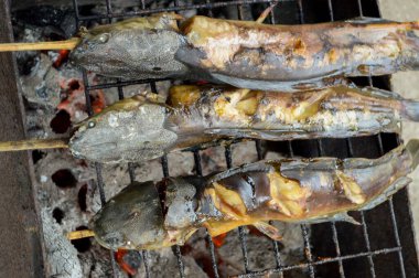 Yakından yayın balığı mangal kömürüyle kızartılır.