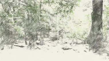 Orman arkaplanının resim rengi