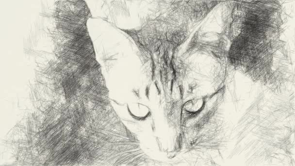 Kunst Zeichnung Farbe Der Niedlichen Gestromten Katze — Stockvideo