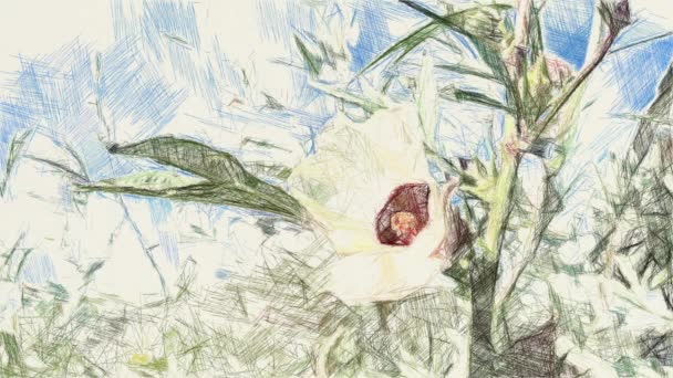 művészet rajz színe hibiszkusz sabdariffa virág a természetben kert