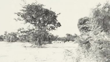 peyzaj arkaplanının siyah beyaz çizimi