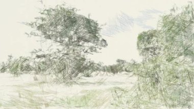 Doğa bahçesinin çizim rengi