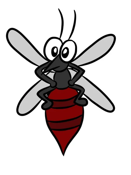 Mosquito Dos Desenhos Animados Fundo Branco — Fotografia de Stock