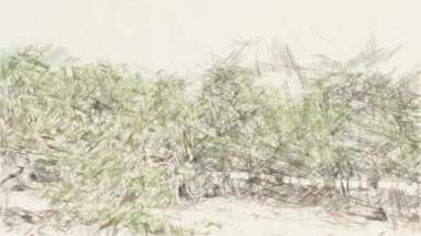 Doğa bahçesinin çizim rengi 