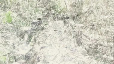 Ormanda sanat renkleri çiziyor