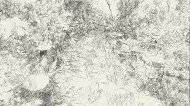 Sanat ormanda siyah beyaz çiziyor.