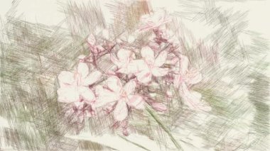 jatropha integerrima çiçeğinin sanat çizim rengi