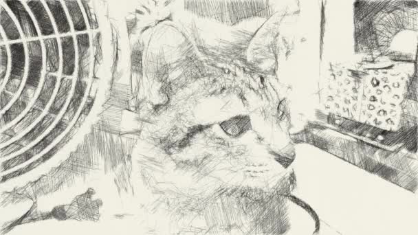 Disegno Arte Bianco Nero Simpatico Gatto Tabby — Video Stock