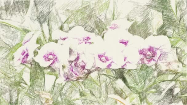 Kunst Zeichnung Farbe Der Orchideenblume — Stockvideo