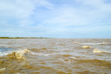 Tayland 'da Samutprakan' da kahverengi deniz