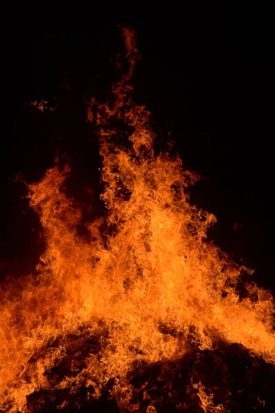 Пожежа Горить Нічному Саду — стокове фото