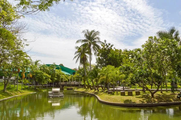 Πράσινο Κήπο Στη Χώρα Ταϊλάνδη — Φωτογραφία Αρχείου