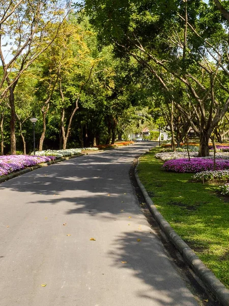 Jardín Verde País Tailandia —  Fotos de Stock